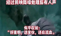梅州生活爆料事件视频,视频揭露惊人真相，网友热议不断！