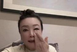 张兰爆料保姆视频大全最新,揭秘家政服务行业隐秘面纱